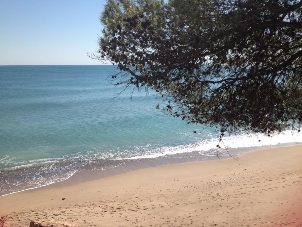 Tropikana Διαμέρισμα Miami Playa Εξωτερικό φωτογραφία